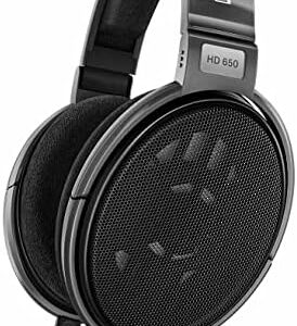 Sennheiser Consumer Audio HD 650 - Audiophile Hi-Res Open Back Dynamic Headphone, Titan