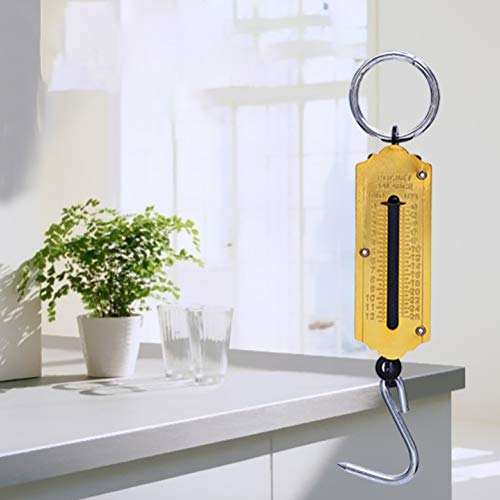 Portable Weighing Tool Hanging Hook Scale Water Jug Portable Luggage Postal Scale Weighing Vertical Spring Machine Luggage Weight Scale Digital Fishing Scale Travel Mini - Image 9