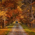 Best Day Trips from Toronto for 2025: Top 24 Escapes