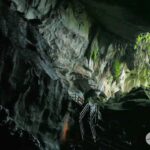 Gunung Mulu National Park – Video Travel Guide | Expedia