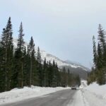 Sunshine Village – City Video Guide