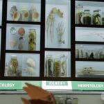 Philadelphia Vacation Travel Guide   Expedia~1 online video cutter com