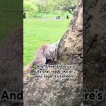 London vacation travel guide ❤️Expedia #london #scenery #architecture #shortsyoutube #shorts