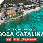 Boca Catalina, Aruba — Beach Walking Videos of ALL Beaches of Aruba (4K, HDR, 3D Sound)