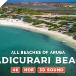 Hadicurari Beach, Aruba — Beach Walking Videos of ALL Beaches of Aruba (4K, HDR, 3D Sound)