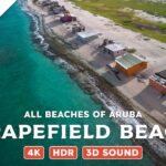 Grapefield Beach, Aruba — Beach Walking Videos of ALL Beaches of Aruba (4K, HDR, 3D Sound)